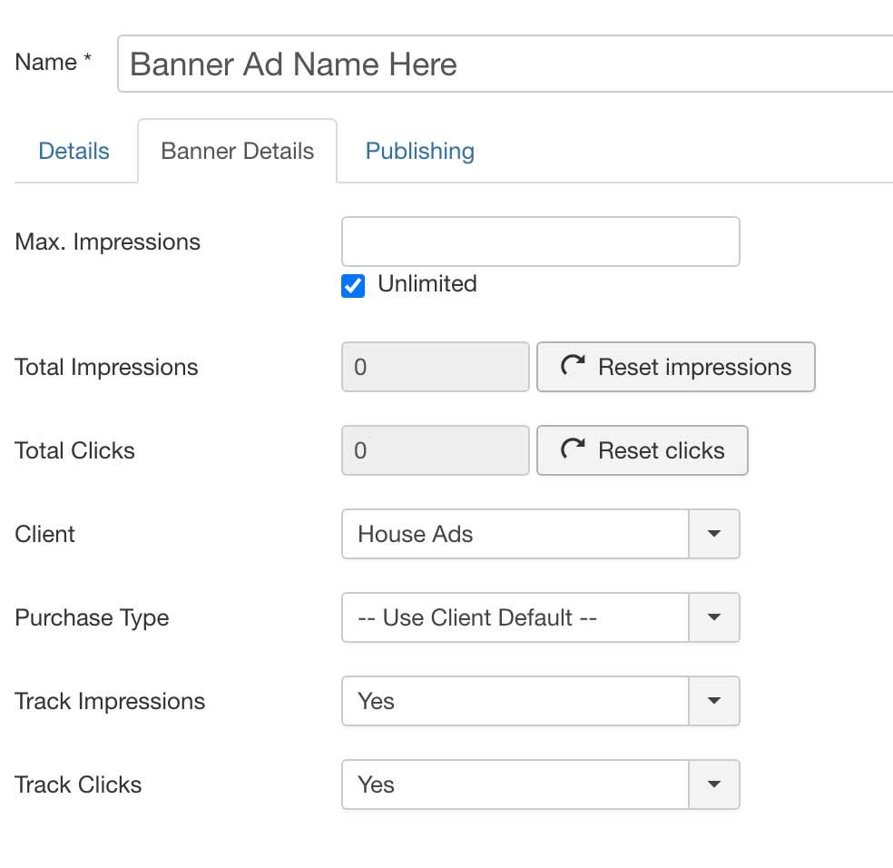 adsbannerdetails.jpg
