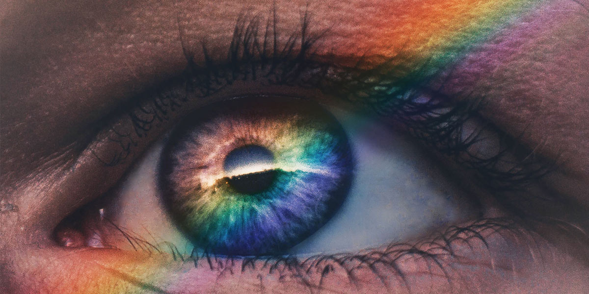 A Comprehensive Guide To Website Accessibility image Color and Genetics