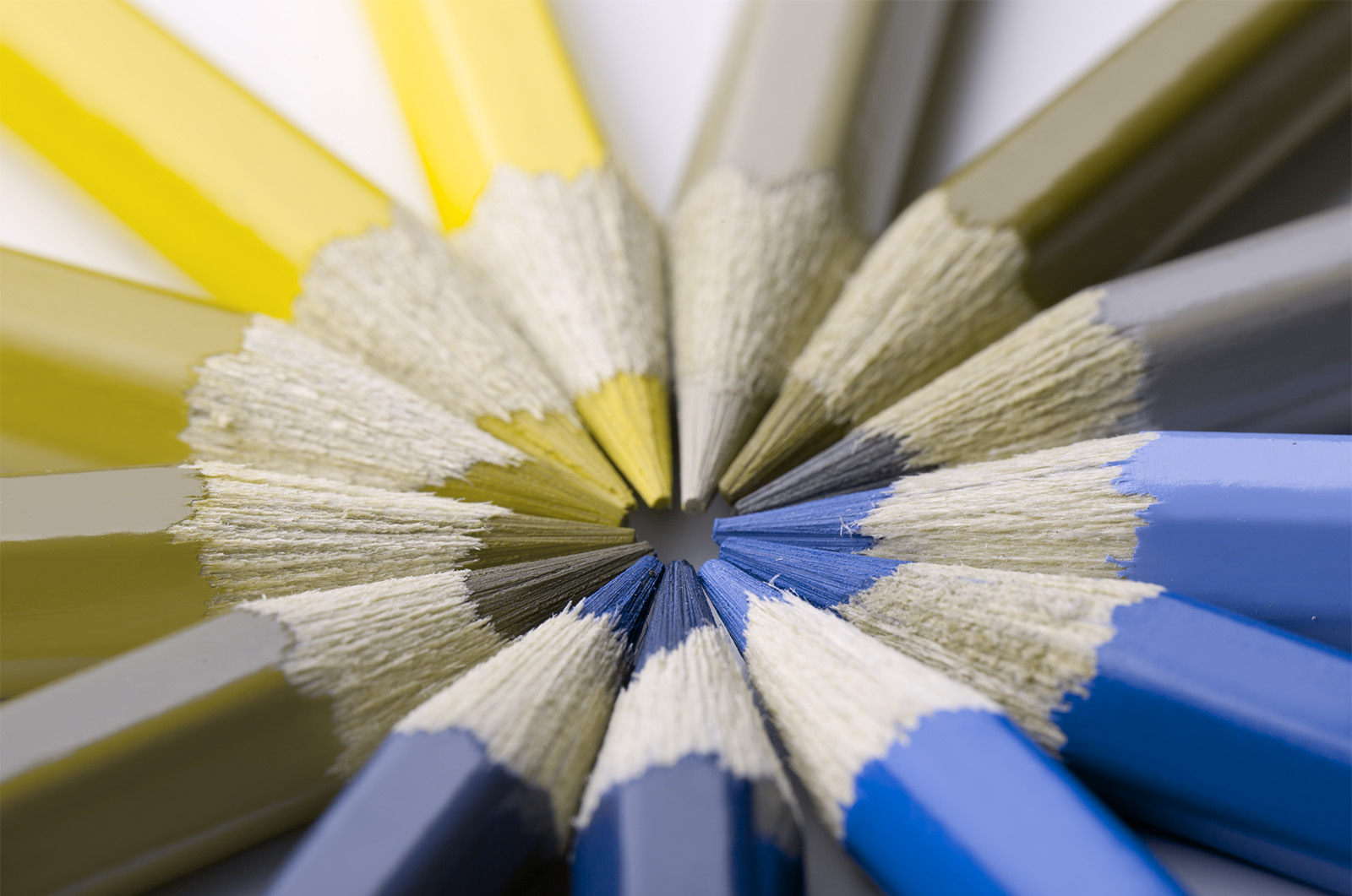 A Comprehensive Guide To Website Accessibility image Protanopia
